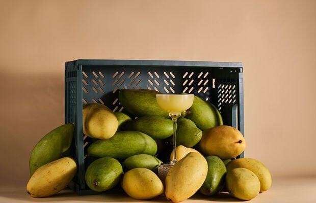 A Jigger & Pony cocktail set among green and yellow mangoes
