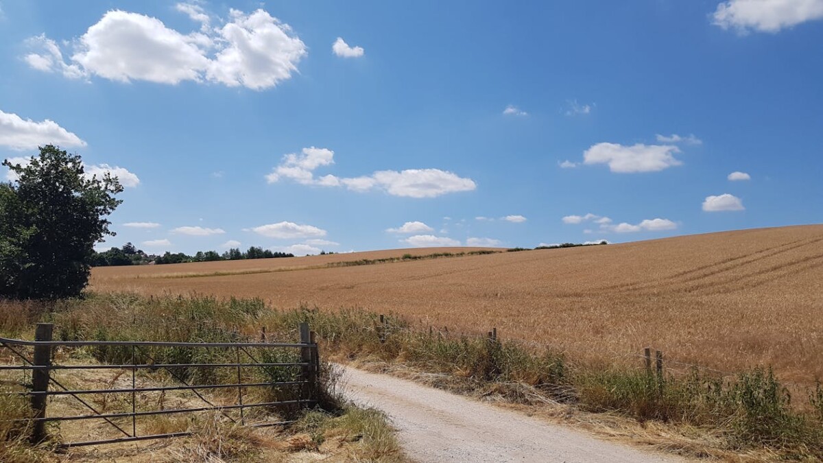 Australian Avocado dishes at Singapore cafes for Mothers Day May 2026