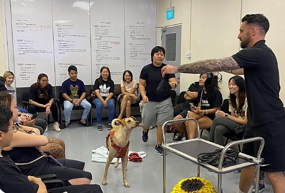 Trainer demonstrates to a seated group of owners as a dog in a harness watches