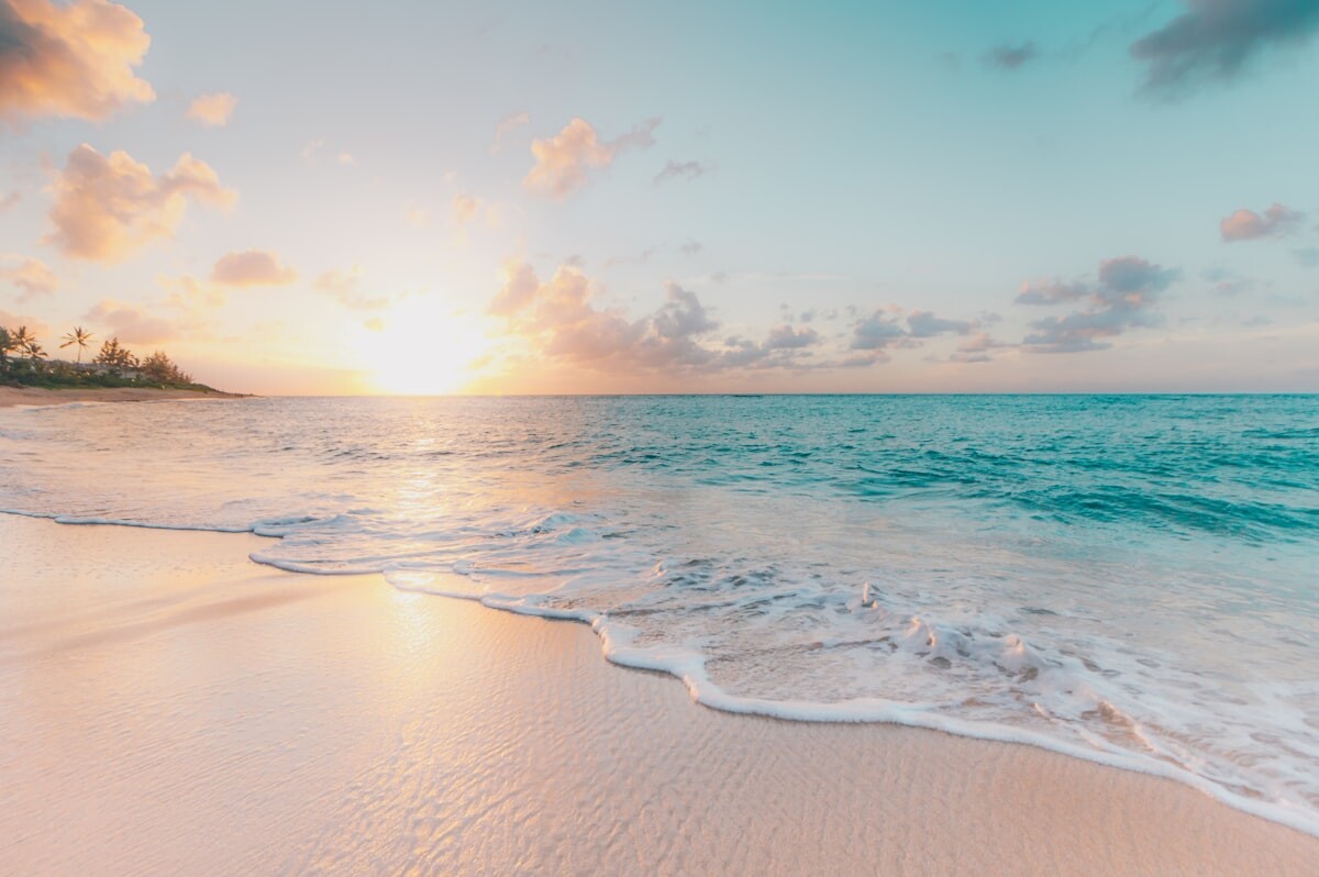 Tropical beach with clear blue waters and palm trees