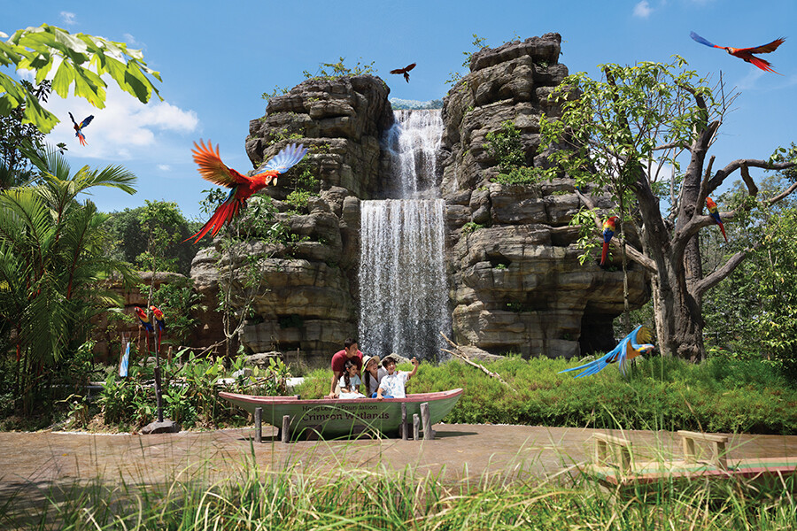 Bird Paradise Crimson Wetlands waterfall with macaws at Mandai