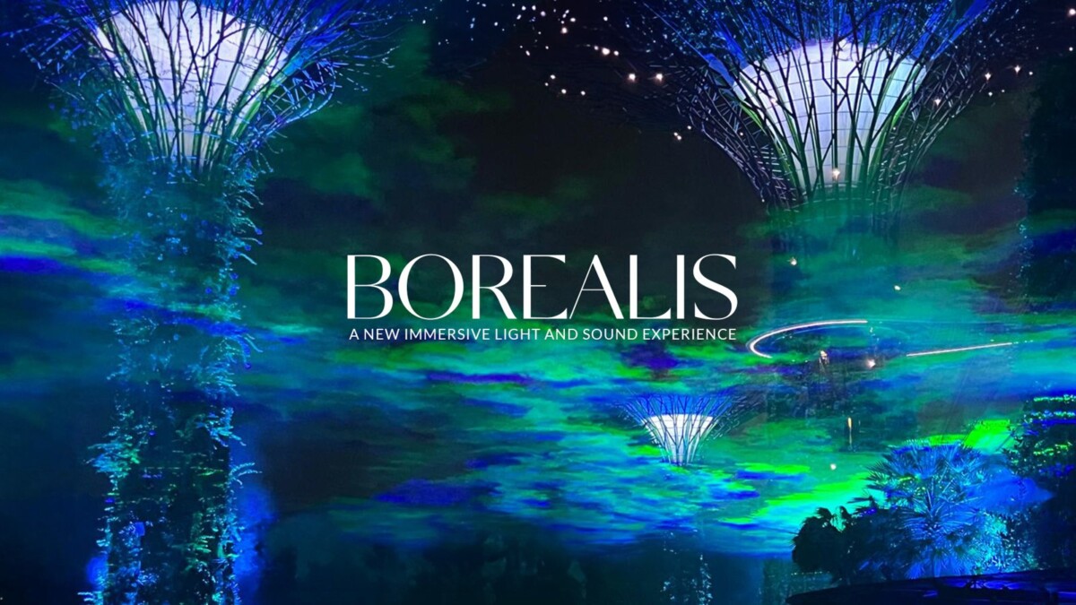 Borealis Northern Lights installation glowing over the Supertree Grove at Gardens by the Bay