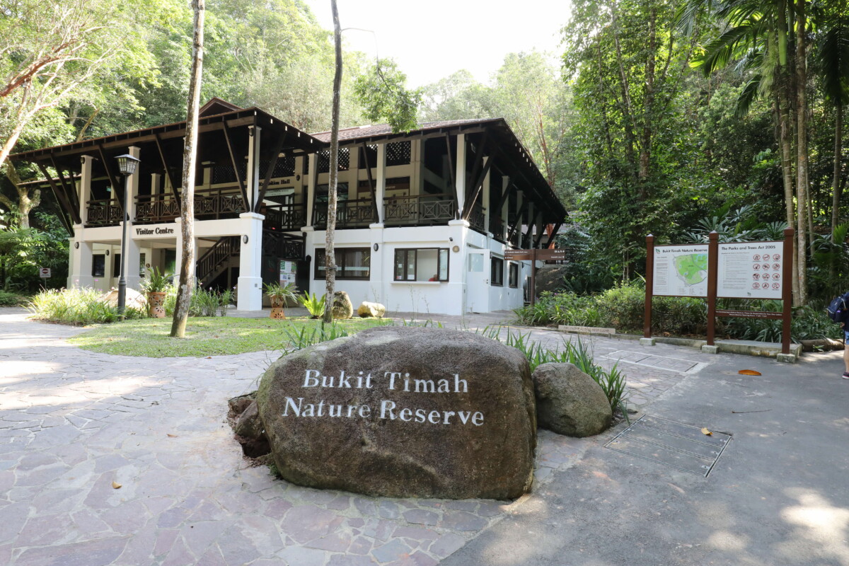 Forest rock and trees at Bukit Timah Nature Reserve Singapore