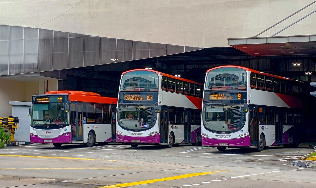 Three SBS Transit buses, one single-decker and two double-deckers, parked side by side under a concrete shelter