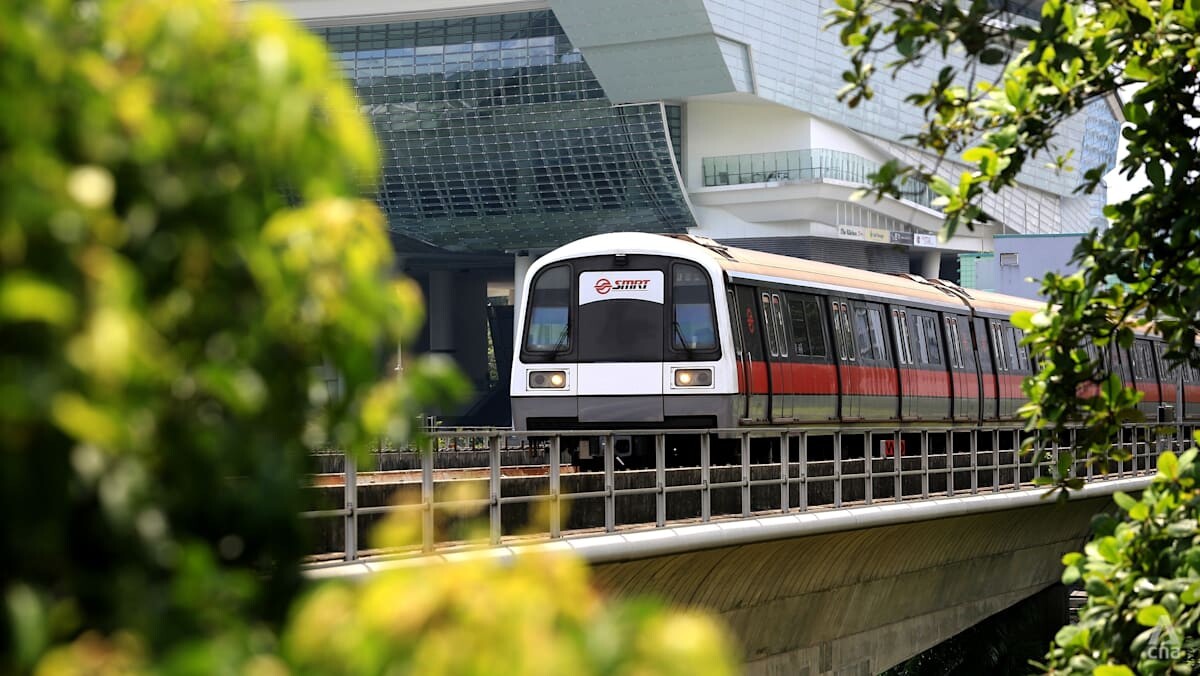 East-West Line MRT train near Buona Vista