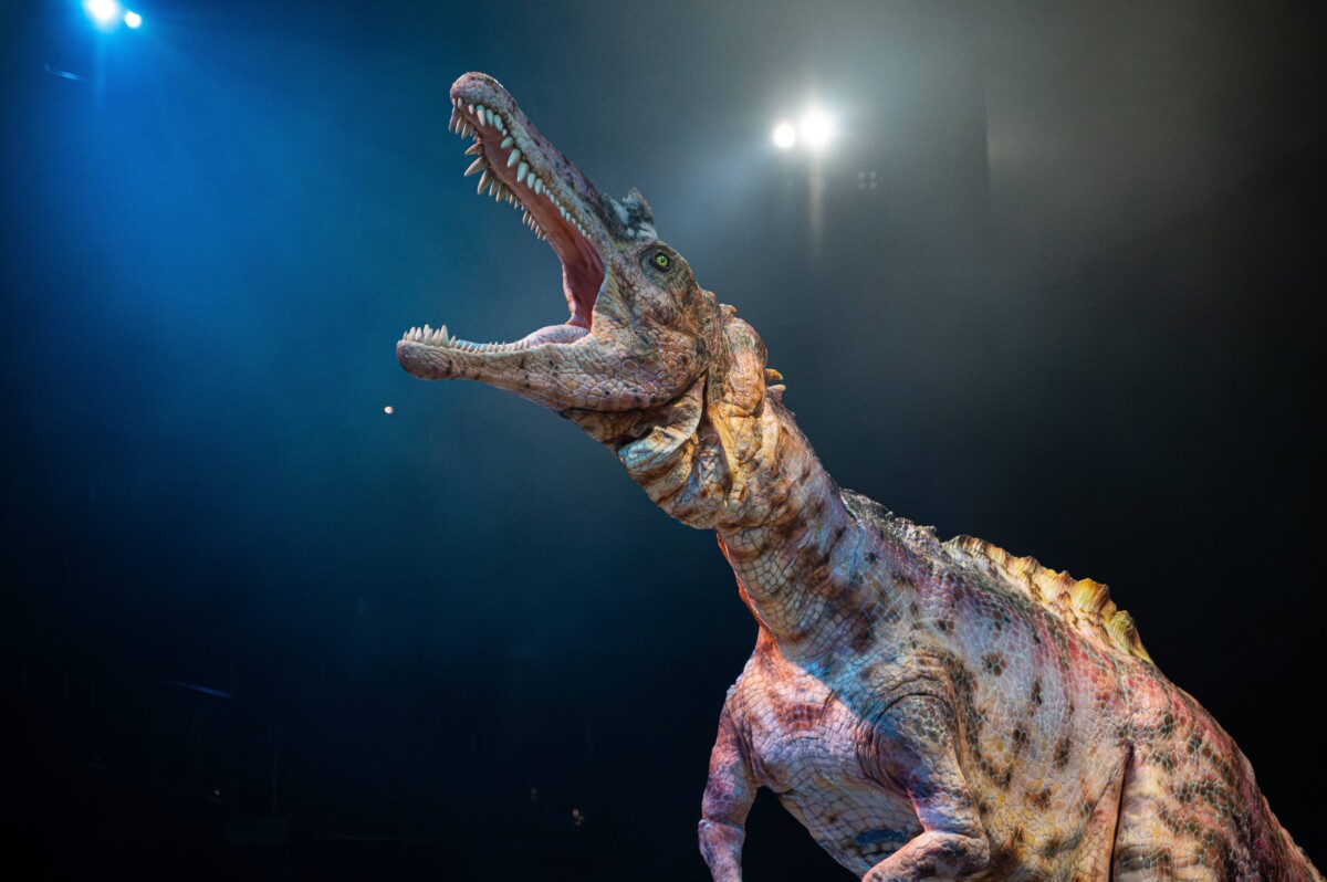 A life-sized dinosaur roaring under a spotlight