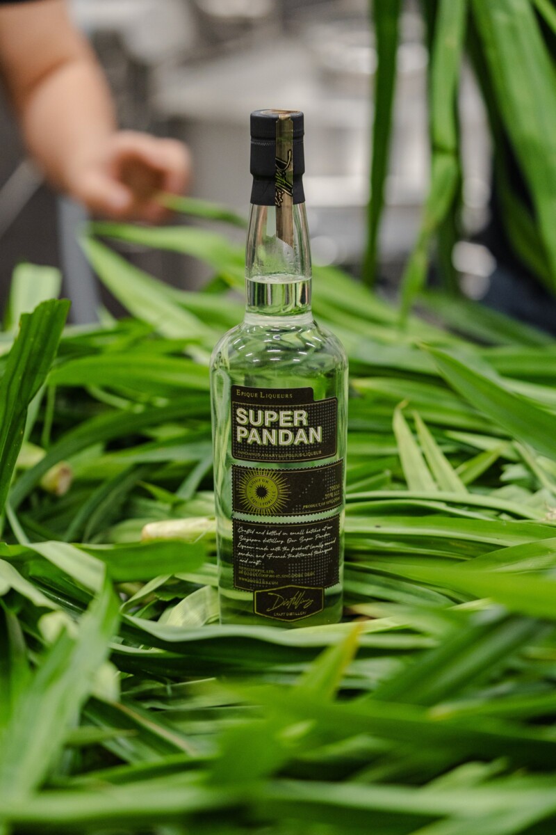 Distillius Super Pandan, Singapore's contemporary pandan liqueur