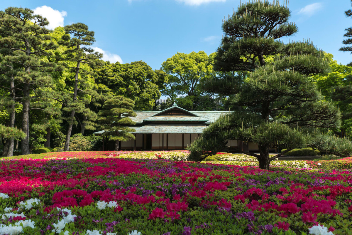 Ninomaru garden pines and azaleas in the Imperial Palace East Gardens
