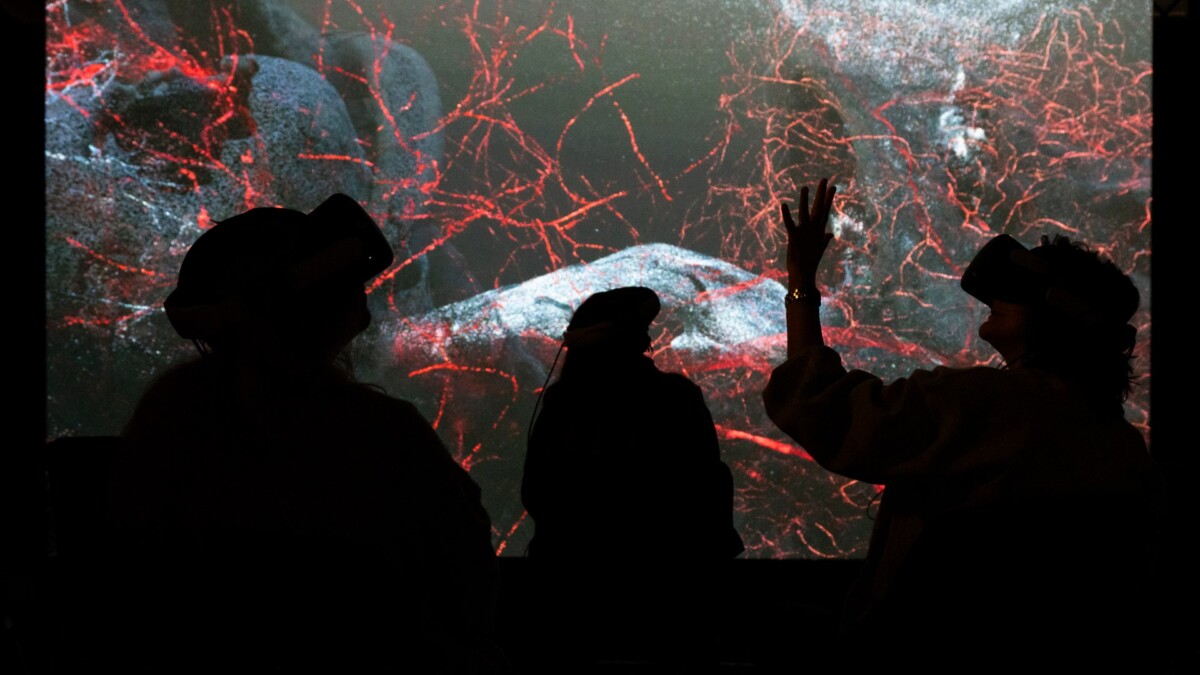 Evolver VR ArtScience Museum Singapore