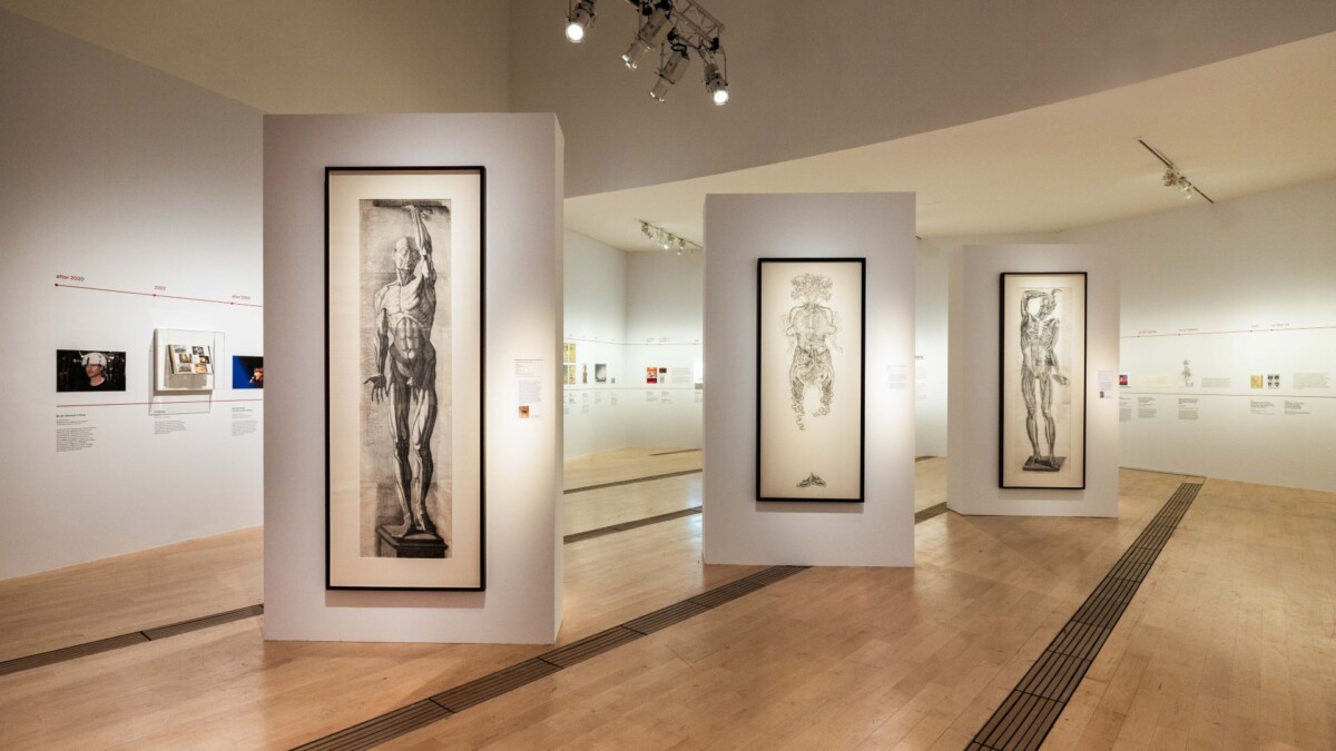 Flesh And Bones Art of Anatomy display