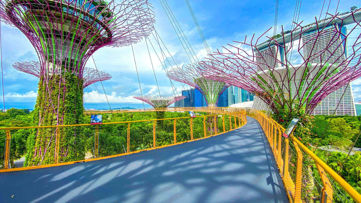 OCBC Skyway and Supertrees at Gardens by the Bay