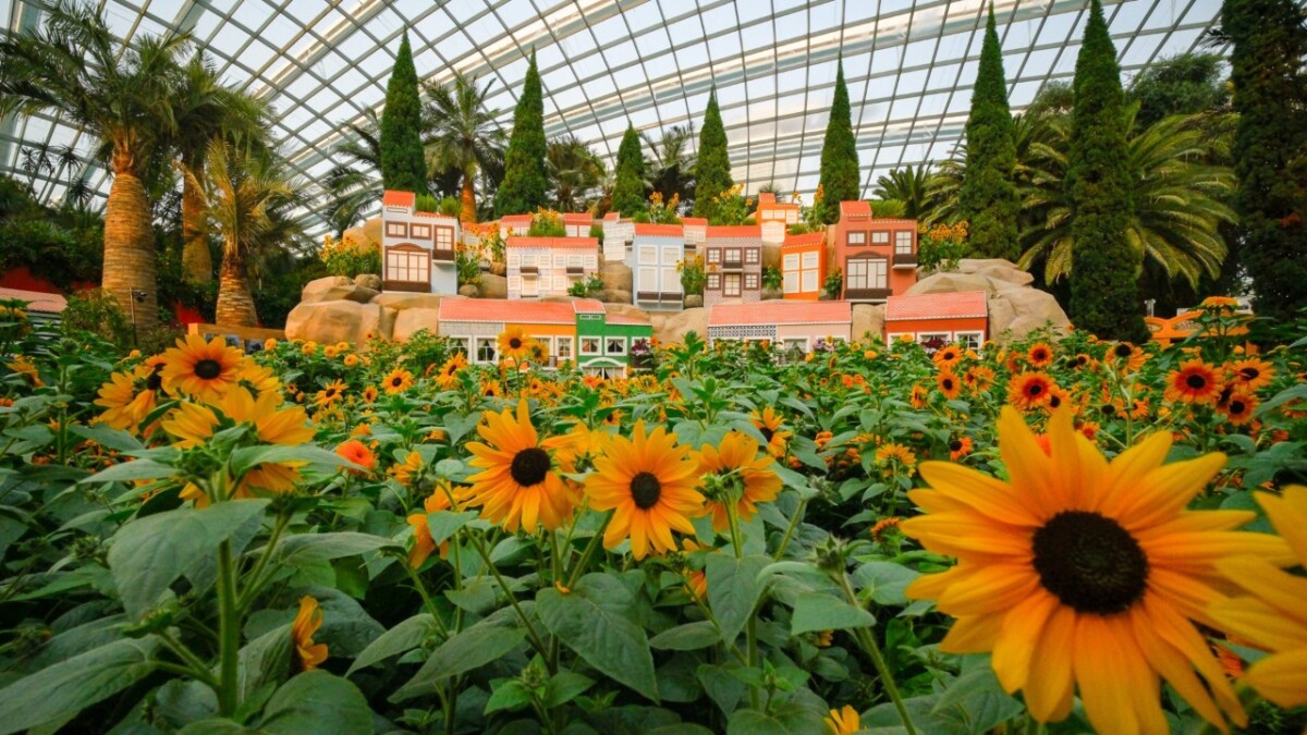 Alfama hillside houses among sunflowers in Sunflower Surprise at the Flower Dome, Gardens by the Bay