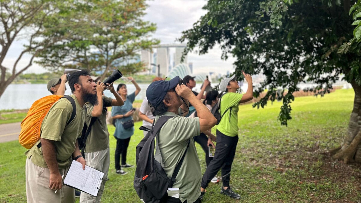 BioBlitz 2026 wildlife survey at Gardens by the Bay