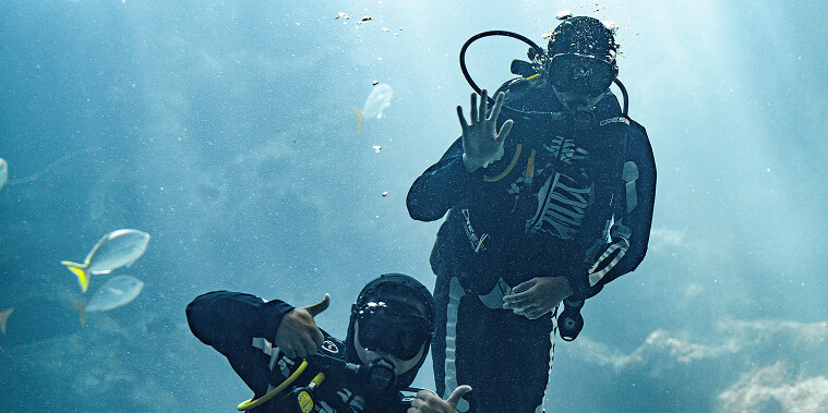 Skeleton-costumed diver swimming among marine animals during Skeleton Dive Feed