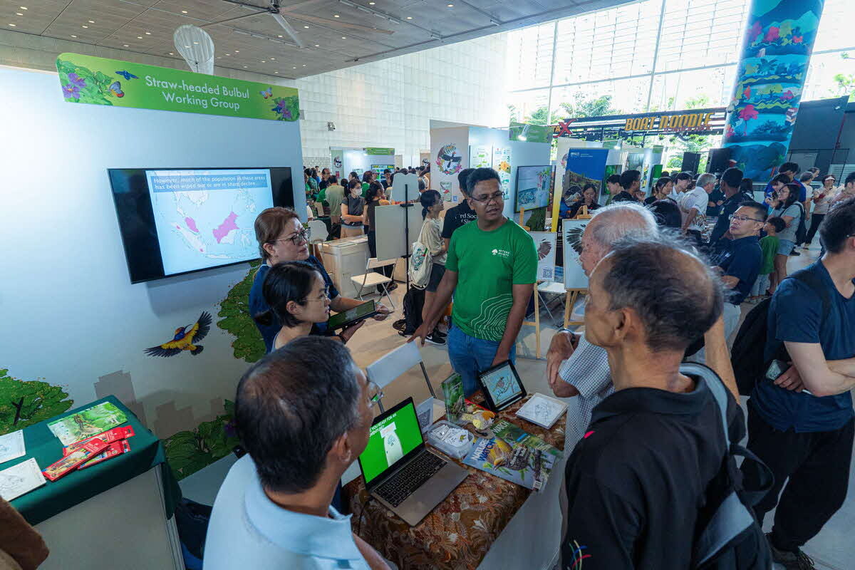 Festival of Biodiversity activity under Go Green SG