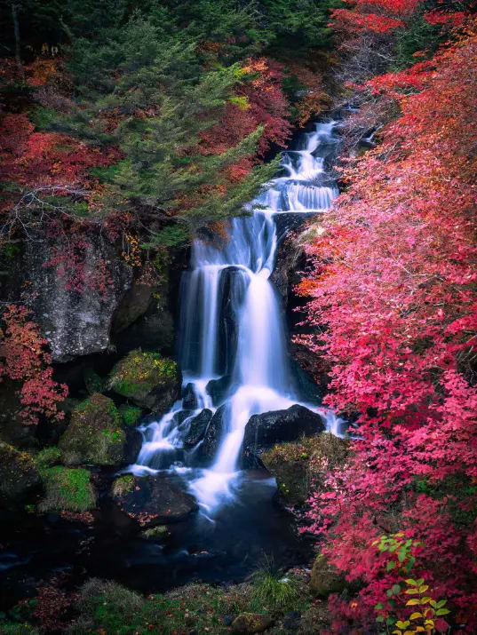 Autumn in Japan — fall foliage, SJ60 photo contest theme