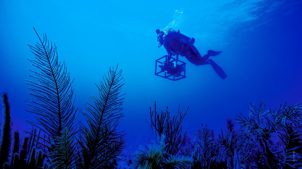 OceanX Into The Ocean Journey Beneath