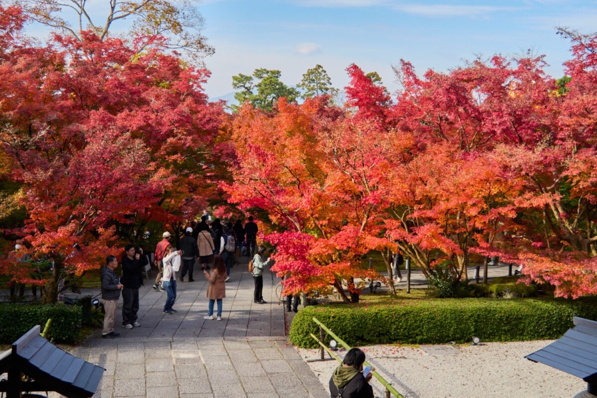 Autumn foliage at Eikando temple, Kyoto