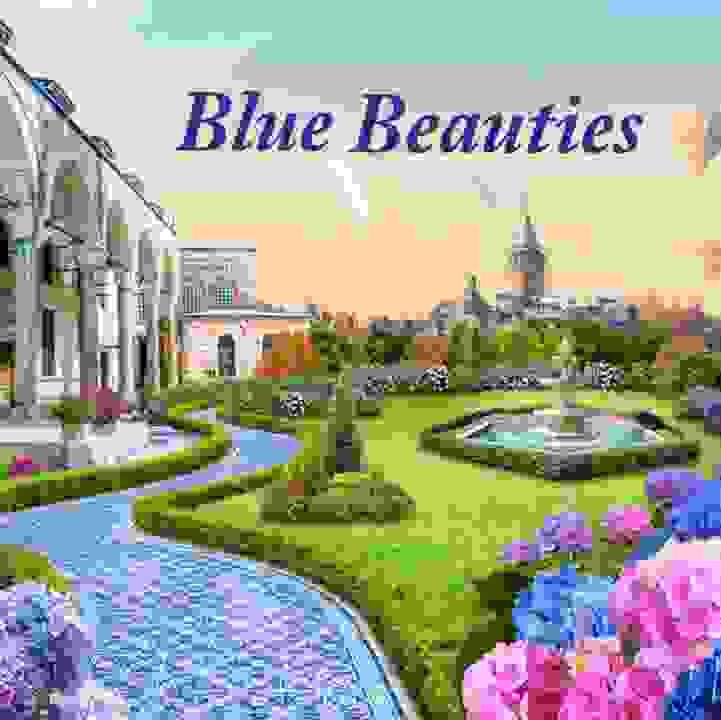 Blue Beauties hydrangea Flower Dome