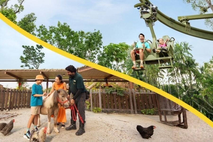 Mandai Kids Enter Free key visual showing a pony at Singapore Zoo and Rainforest Wild Adventure Canopy Glider