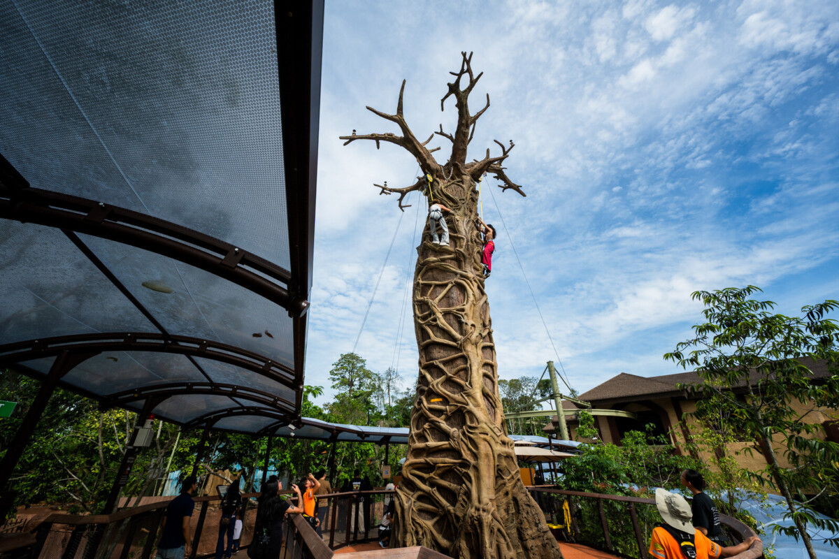 View of the Primate Climb elevated walkway, Rainforest Wild Adventure East. Photo: Mandai Wildlife Group