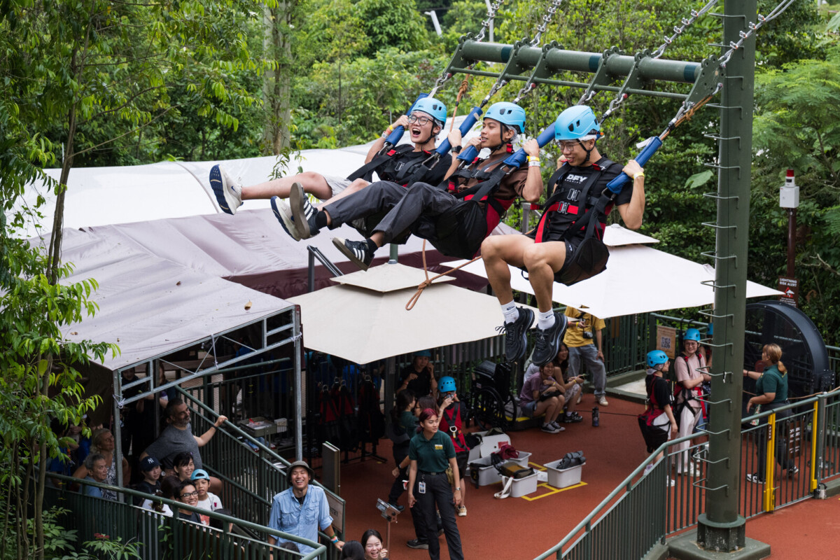 Students on the Ravine Swing at Rainforest Wild Adventure East. Photo: Mandai Wildlife Group