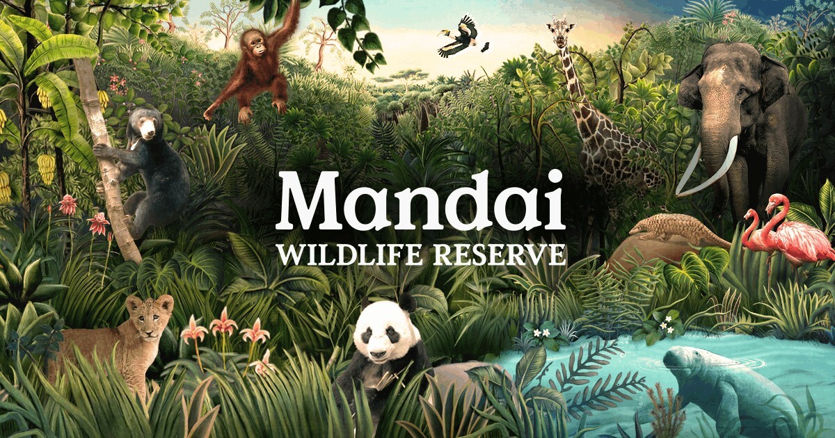 Mandai Wildlife Reserve brand photograph