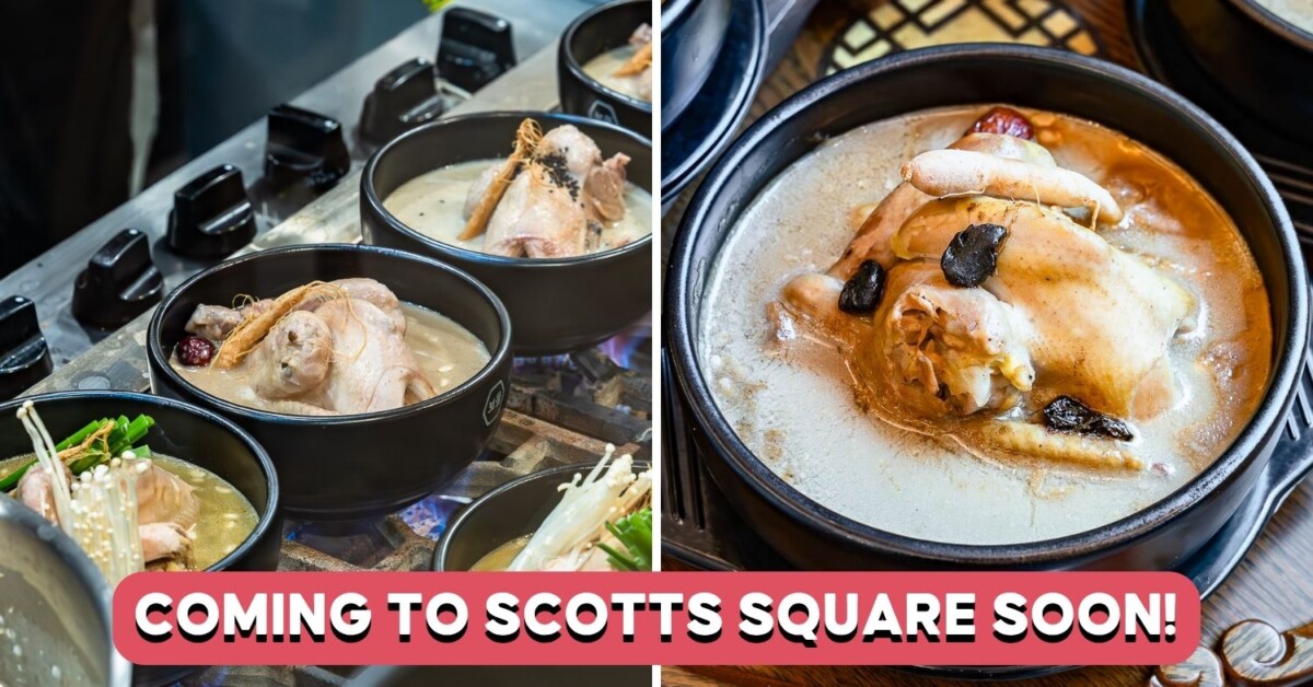 BOMUL Samgyetang whole chicken ginseng bowls with Coming to Scotts Square Soon banner