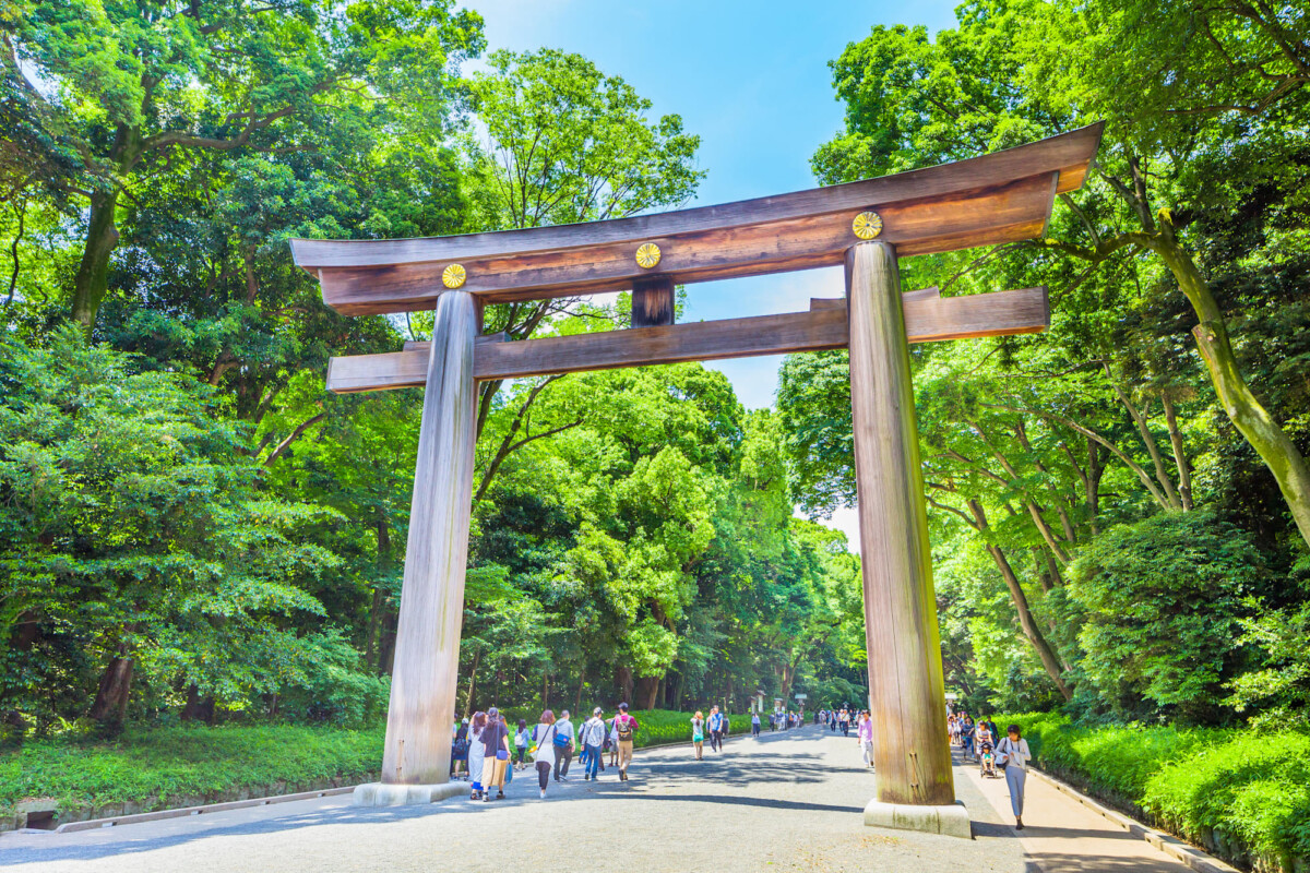 Great wooden torii gate of Meiji Jingu on the forest path from Harajuku