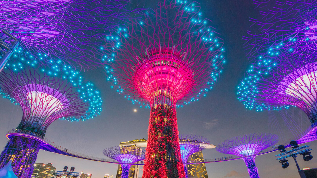 Evening light display at Supertree Grove during Mid-Autumn Festival 2026 Singapore