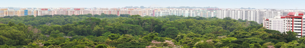 Public housing blocks with green belt from MND and HDB materials
