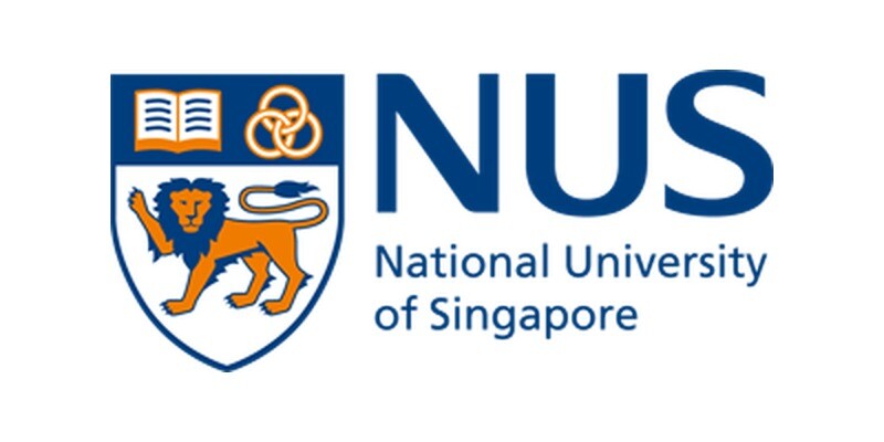 National University of Singapore wordmark logo on white background
