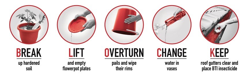 NEA Mozzie Wipeout B-L-O-C-K steps graphic showing five ways to stop mosquito breeding at home