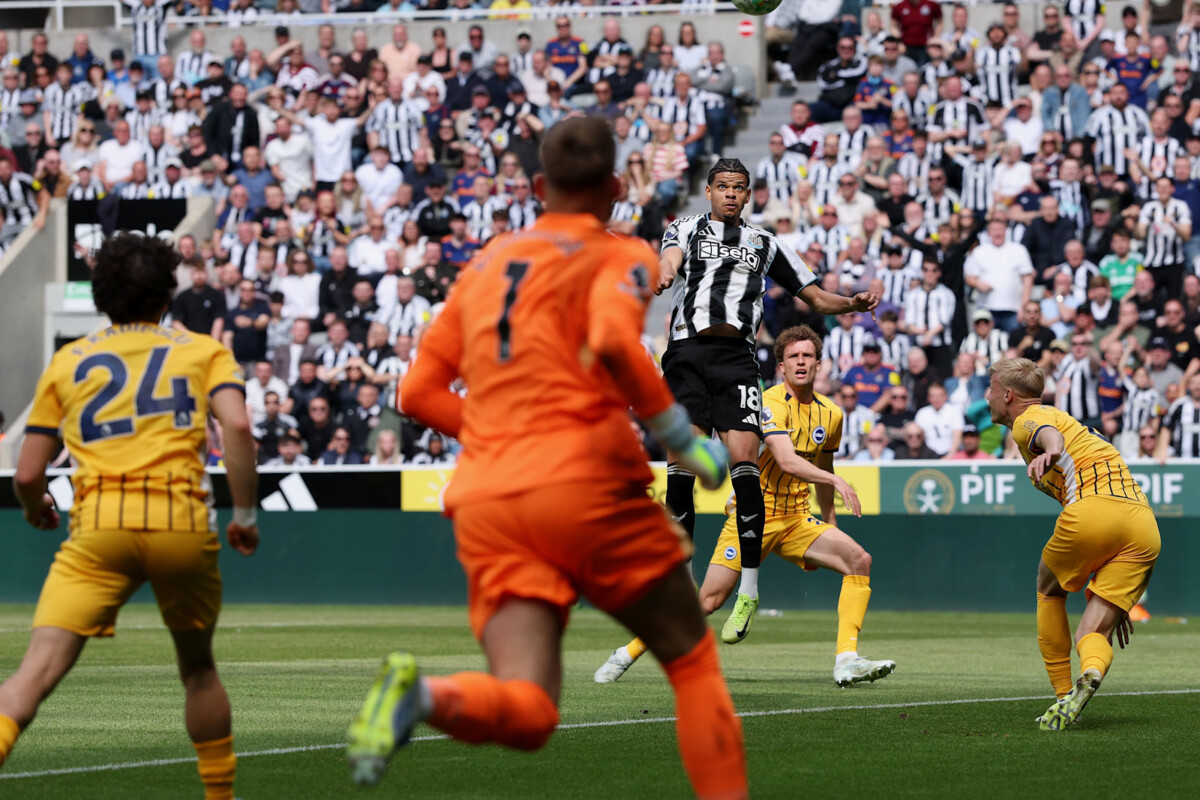 Newcastle 3-1 Brighton William Osula scores opener at St James Park