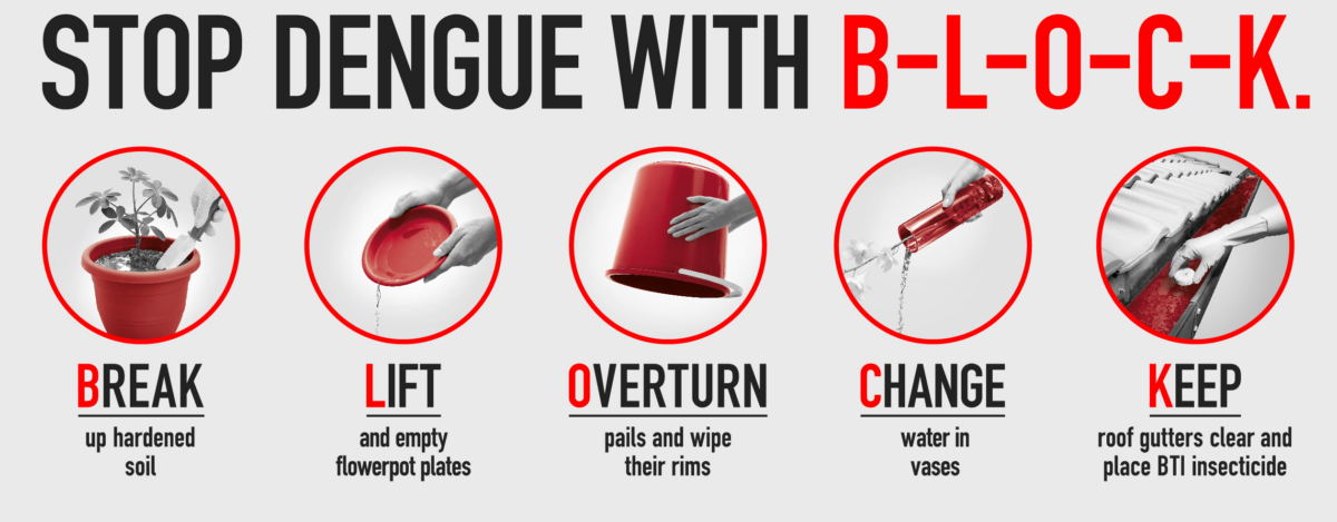 NEA Stop Dengue with B-L-O-C-K graphic showing the five household steps