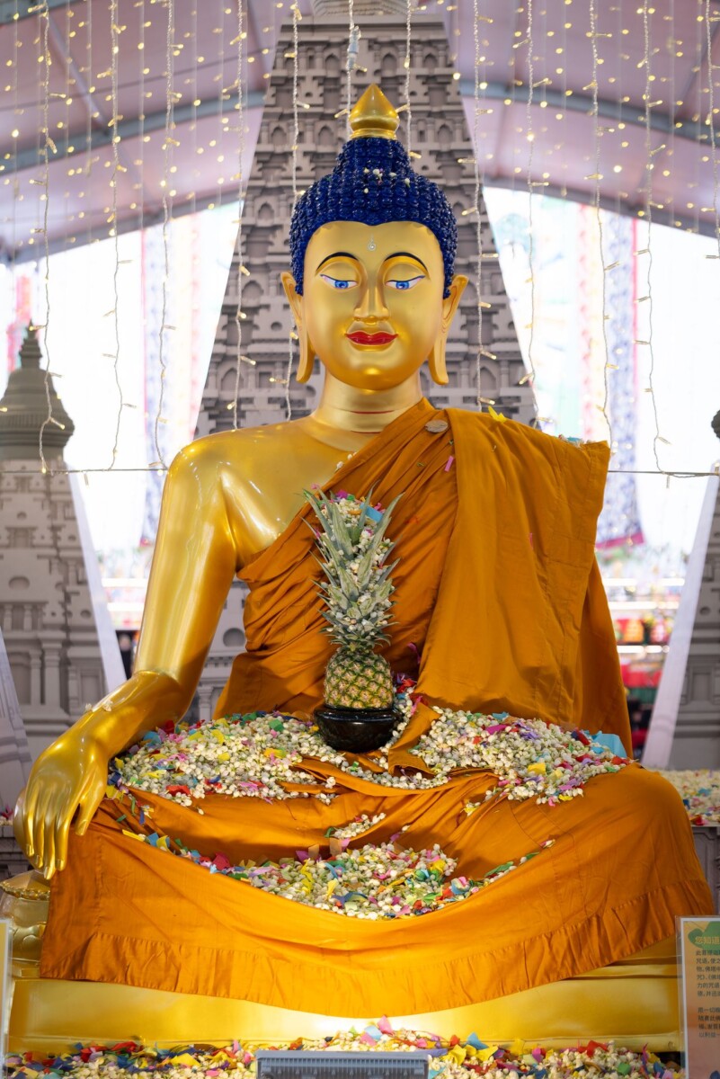 Vesak blessing activity at Thekchen Choling