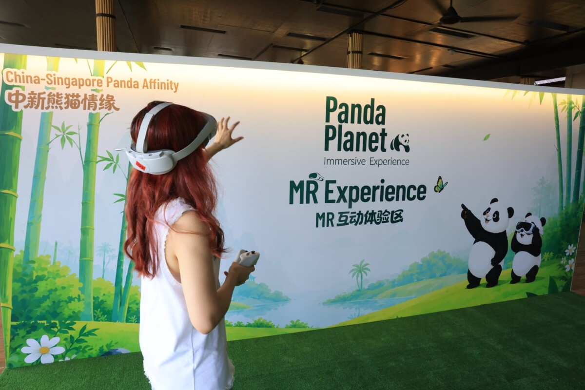 Panda Planet Immersive Experience MR zone