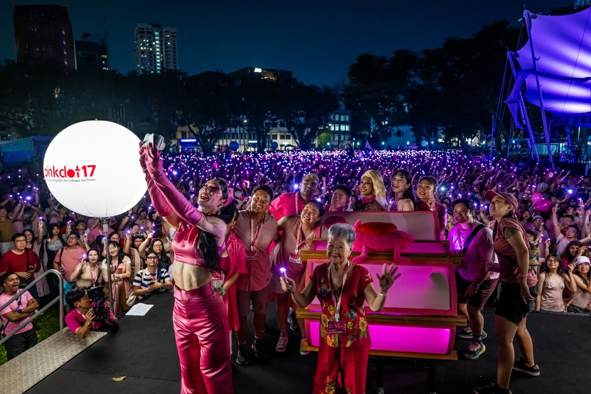 Pink Dot event crowd photo from official site