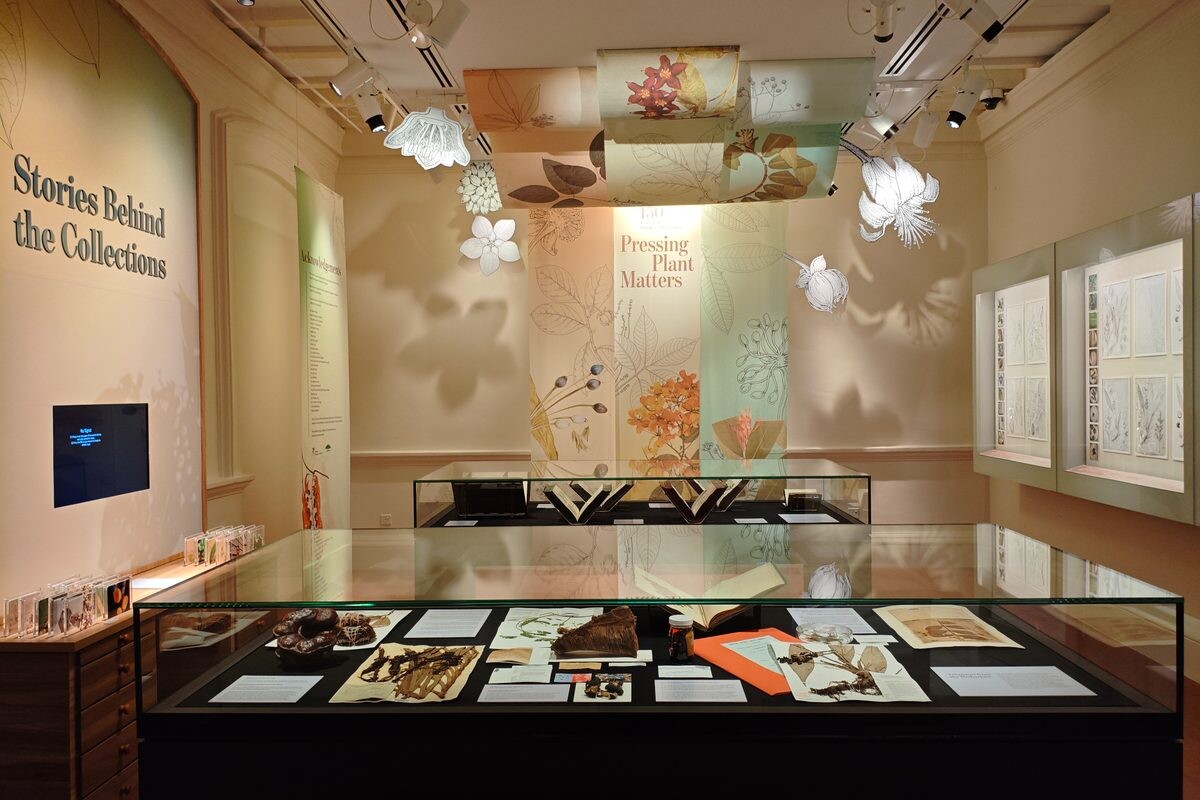 Pressing Plants Matters Botanical Art Gallery Singapore Botanic Gardens