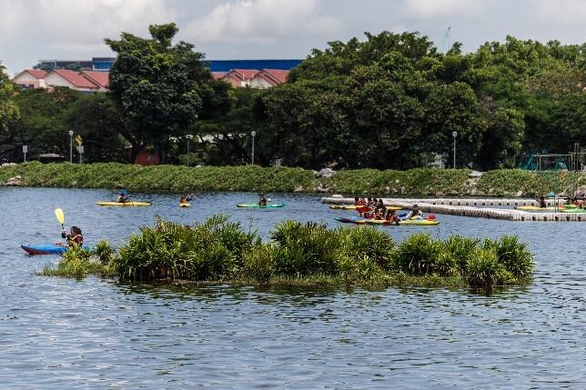 Kayakers paddling past a floating wetland on Pandan Reservoir in western Singapore