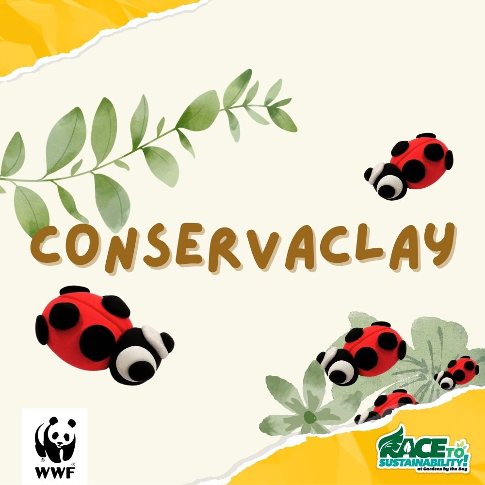 ConservaClay workshop visual with clay ladybirds, leaves and the WWF panda logo