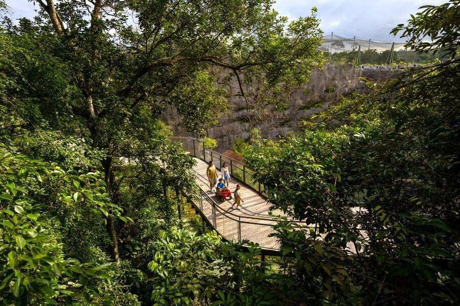Rainforest Wild Asia elevated walkway