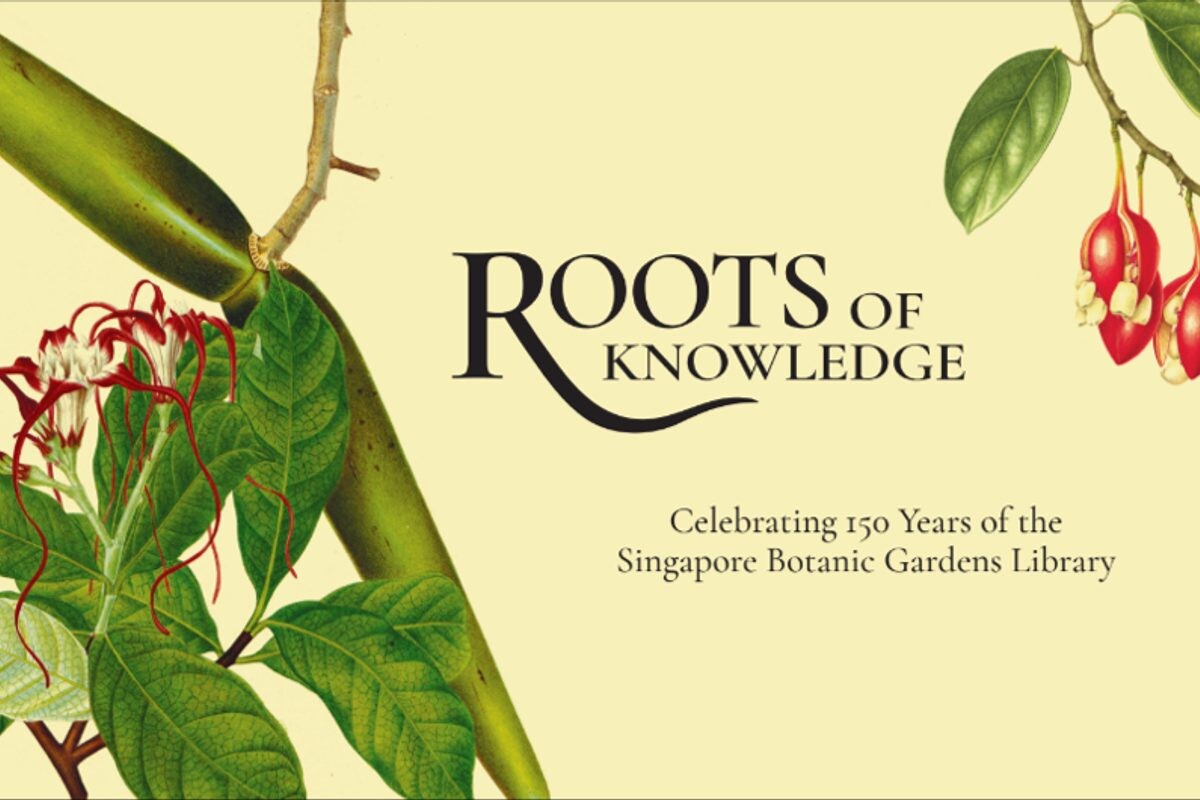 Roots of Knowledge Botanical Art Gallery Singapore Botanic Gardens
