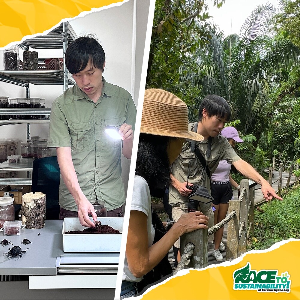 Instructor examining insect specimens and a group spotting insects on a garden trail