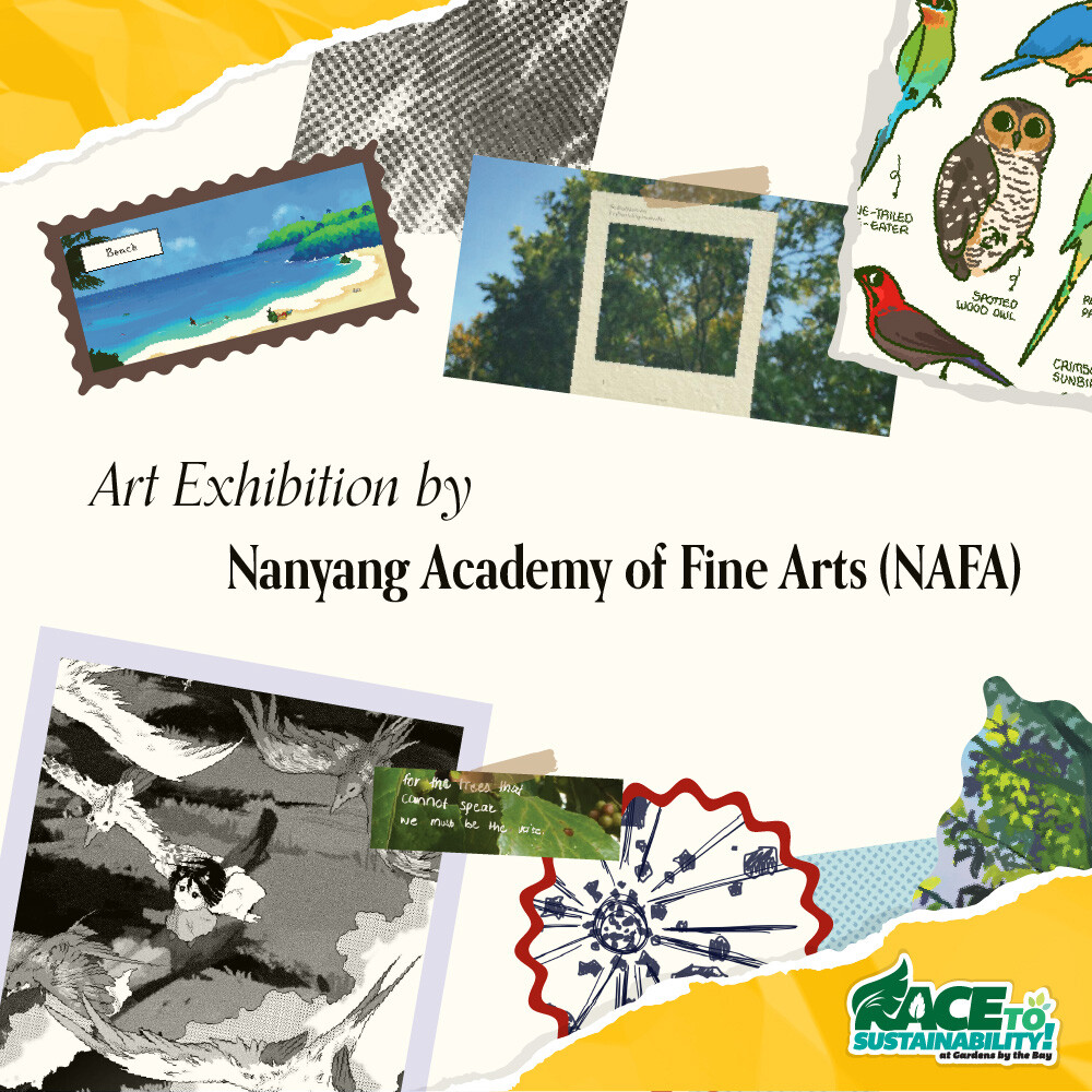Art Exhibition by Nanyang Academy of Fine Arts poster with collaged nature images and birds