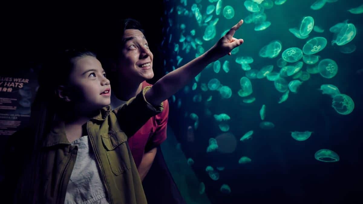 Singapore Oceanarium Twilight Waves visual