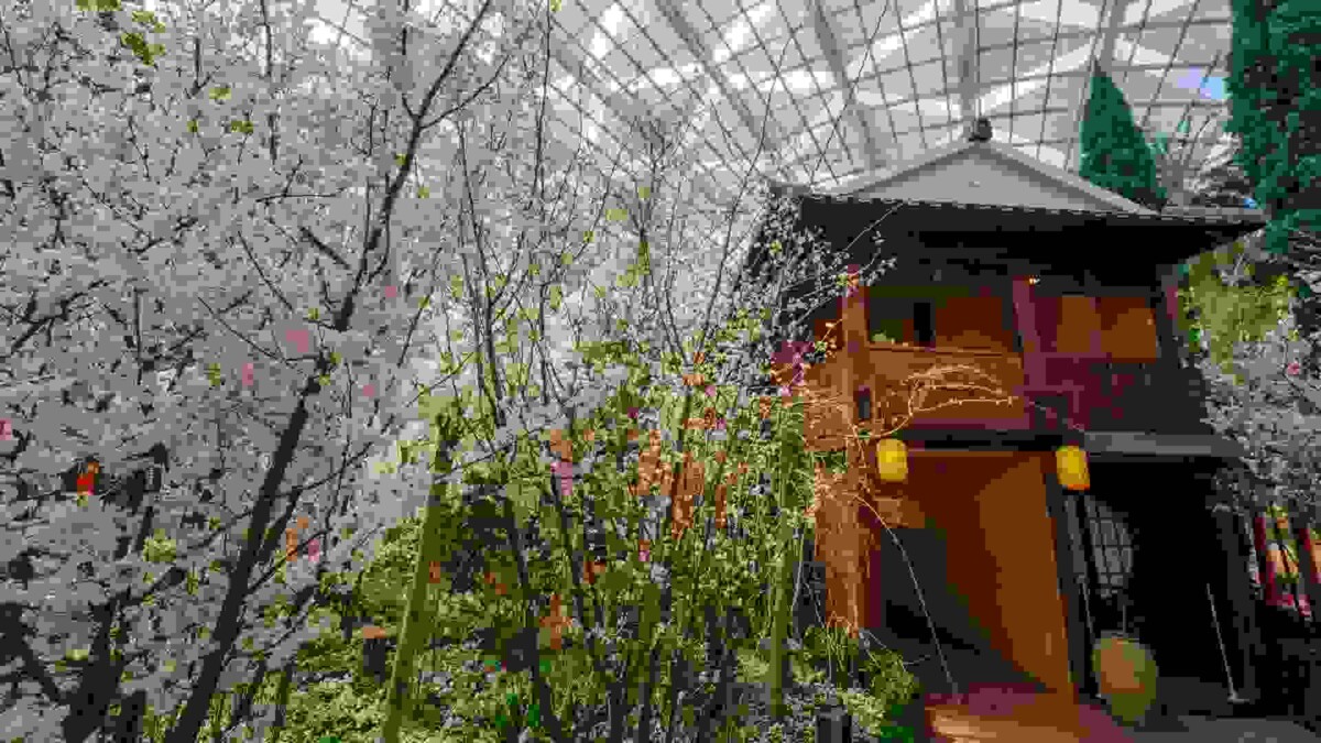 Nomura samurai residence recreation at Sakura 2026 Flower Dome