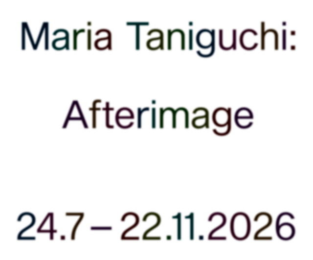 Maria Taniguchi Afterimage exhibition at Singapore Art Museum