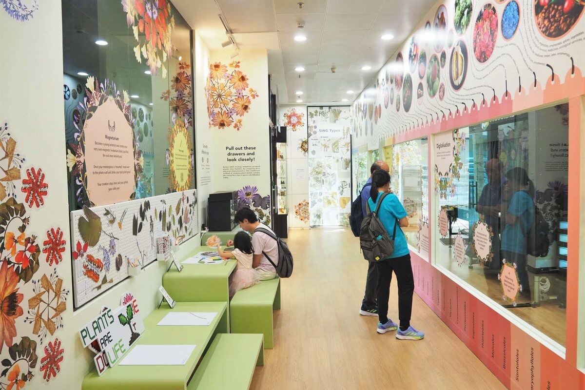 SBG Herbarium Digitalisation Gallery Singapore Botanic Gardens