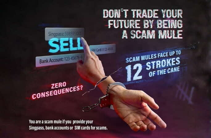ScamShield card on money mules and scam facilitation